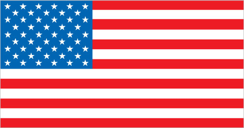 United States flag - Larry Page nationality